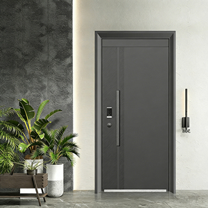 Customized Modern Steel Security Entrance Door with Intelligent Lock