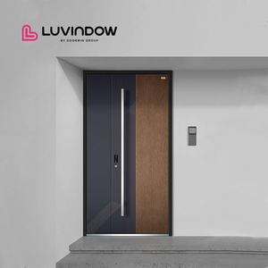 Home Doors External Classic Design Replacement Aluminum Exterior Doors Entry Pivot Door
