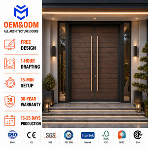 Luxury Modern Main Double Pivot Door