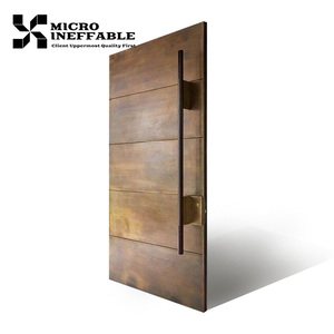 Modern Exterior Front Entry Pivot Metal Door