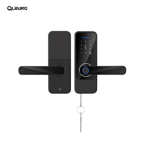 Smart Home Qleung WiFi Biometric Fingerprint Smart Lock